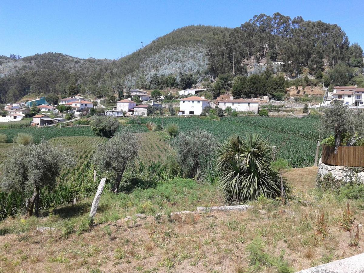 Palheiro - Casa De Ferias Mansores Arouca Agras Eksteriør billede
